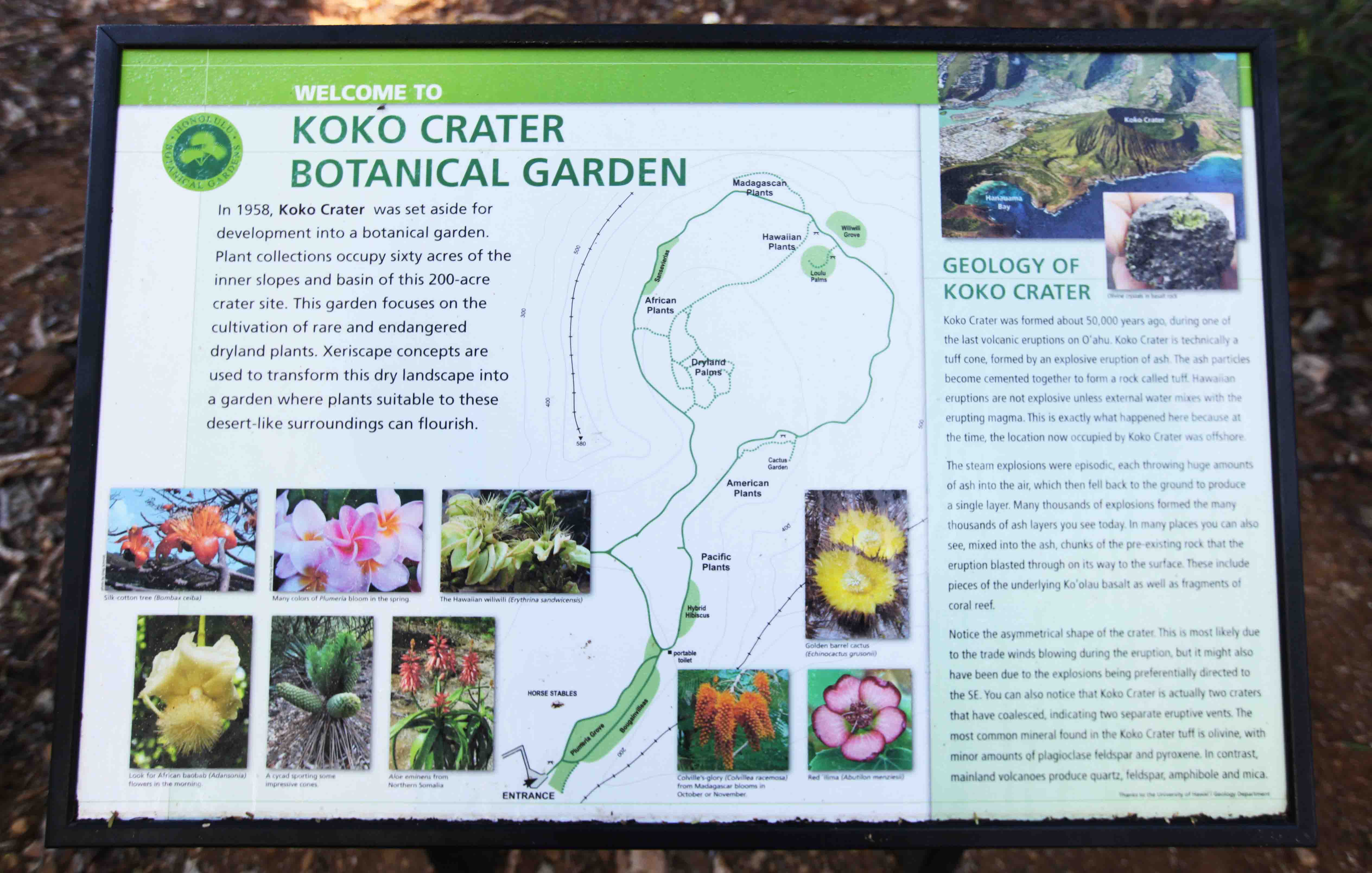 Koko Crater Botanical Garden Letter From Lund